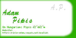 adam pipis business card